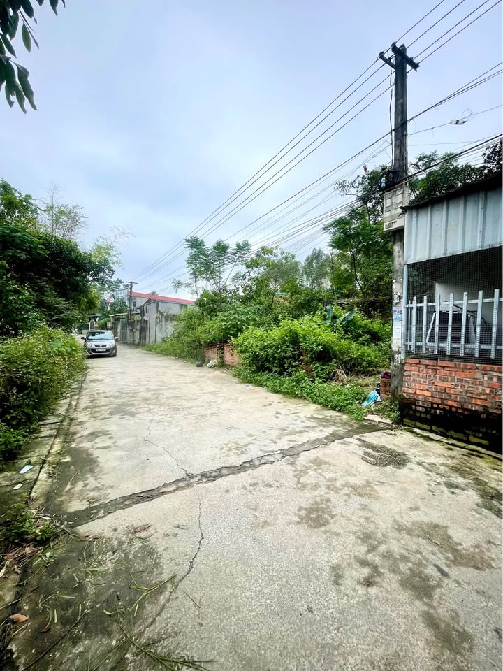 Đất Cẩm Đội Thụy Vân 96m² giá thỏa thuận - Đầu tư hợp lý ngay trung tâm KCN