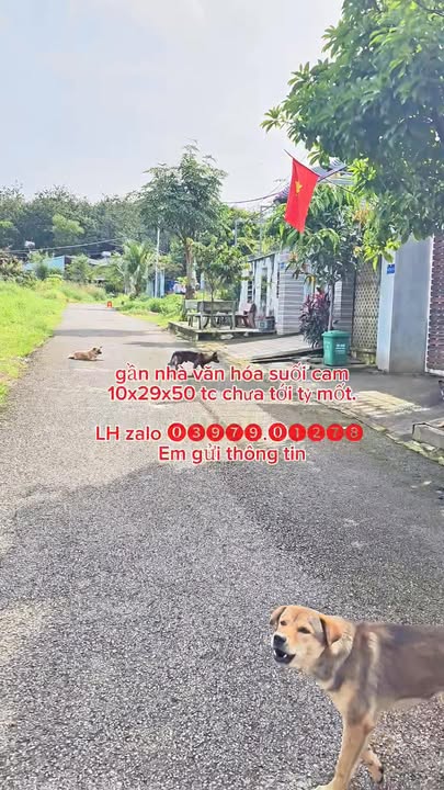 Đất thổ cư Tiến Thành, Đồng Xoài 290m² giá 1.1 tỷ - Cần bán gấp!
