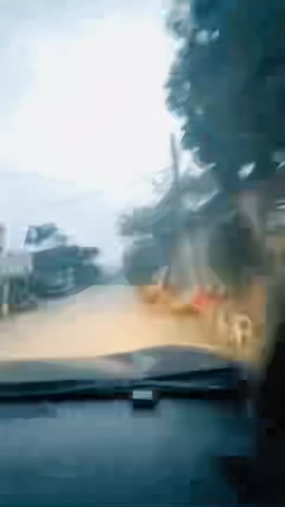 Đất thổ cư 138.9m² tại Đồng Hỷ, Thái Nguyên - Giá chỉ 600 triệu, chính chủ cần bán gấp!