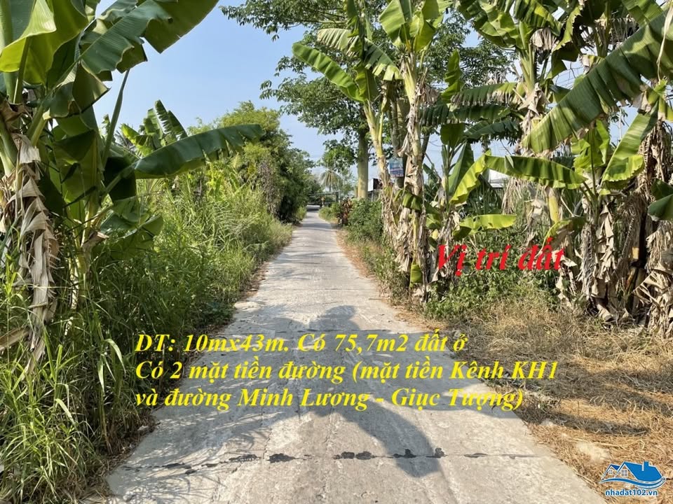 Đất 2 mặt tiền 10x43m tại Giục Tượng, Châu Thành, Kiên Giang - Giá 1.3 tỷ - Tiềm năng phát triển