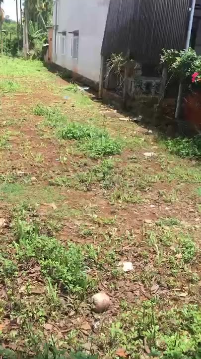 Đất thổ cư Phú Xuân 222m² giá 490 triệu - Đầu tư sinh lời ngay!