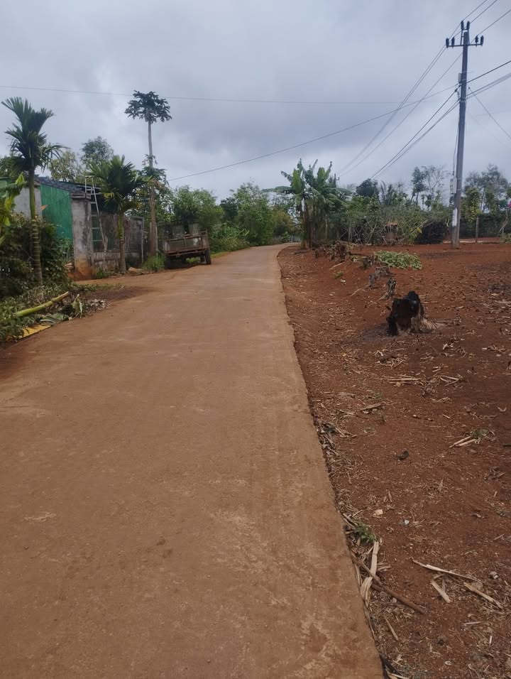 Đất thổ cư xã Ea Drông, Đắk Lắk 400m² giá 50 triệu - Cơ hội đầu tư hiếm có!