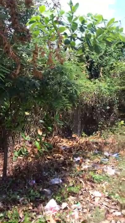 Đất nền 4200m² giá 60 tỷ - Mặt tiền đường Tam Thôn Hiệp