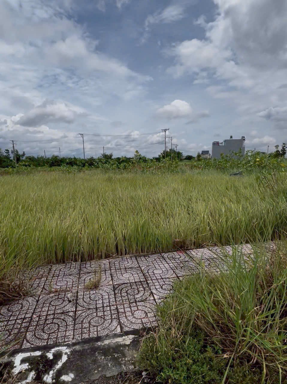 Nền đất đẹp 81m² KDC Tân Lân giá chỉ 650 triệu - Cơ hội đầu tư tuyệt vời!