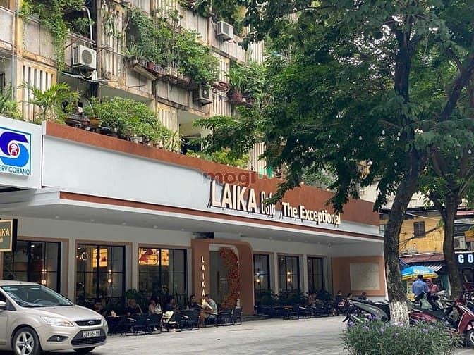 Cho thuê mặt bằng kinh doanh phố Hoàng Cầu Đống Đa 250m² - Vị trí đắc địa, dễ nhận diện thương hiệu!