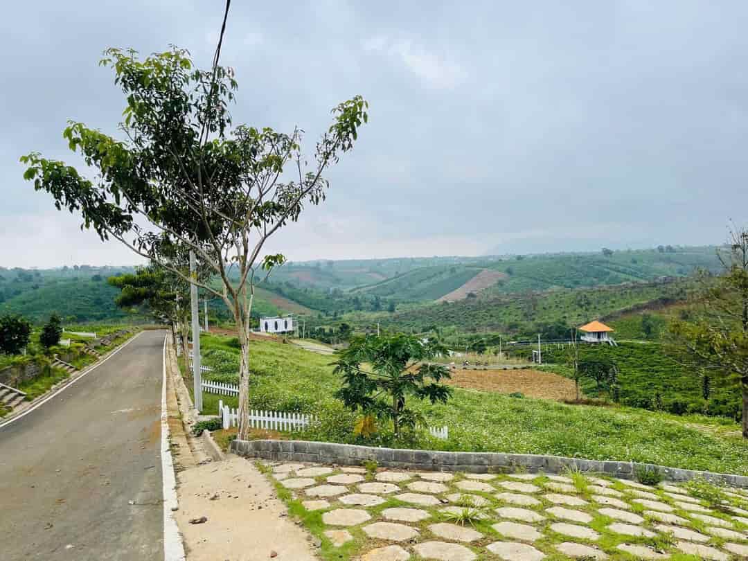 Đất nền tại NaLi Chill - Bảo Lộc 125m² giá chỉ 850 triệu - Đầu tư lý tưởng!