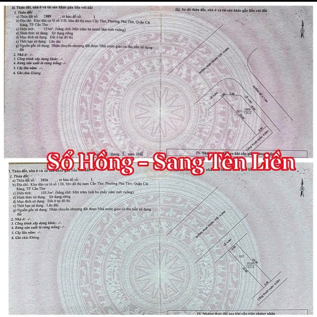 Đất nền góc đường Phan Trọng Tuệ, Cần Thơ 238.5m² - Đầu tư sinh lời ngay!