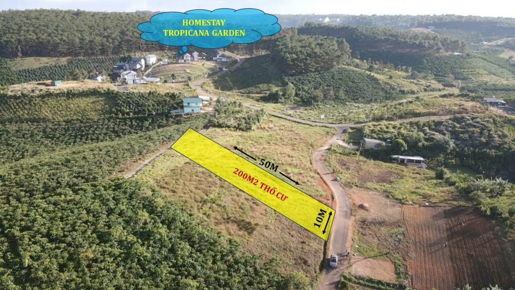 Đất thổ cư Bảo Lộc 500m² giá 750 triệu - Cạnh Homestay Tropicana Garden!