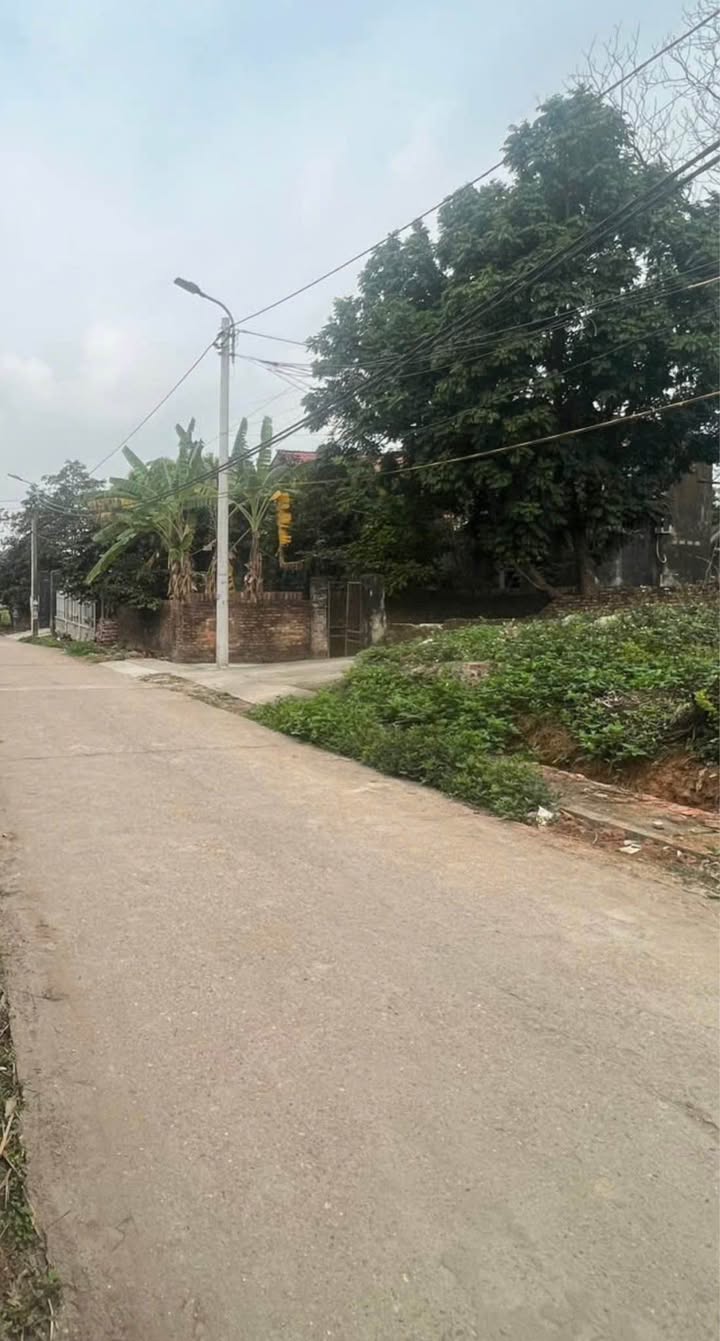 Đất nền Đạo Tú, Tam Dương 99m² - Chính chủ bán, giá thỏa thuận!