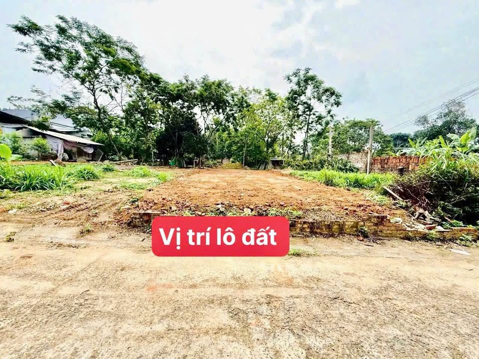Đất thổ cư thôn 4, xã Hoàng Hoa, Tam Dương 106.3m² giá chỉ 900 triệu - Sổ đỏ chính chủ!