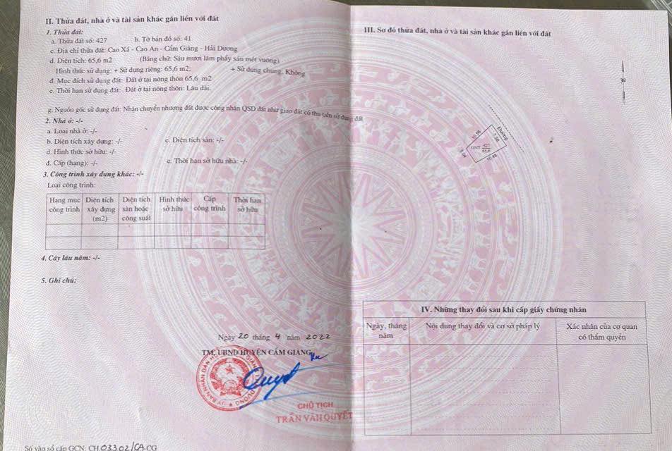 Đất nền Cao An, Cẩm Giàng, 65m² giá 1 tỷ - Đầu tư sinh lời!