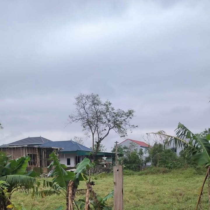 Đất thổ cư Cổ Đạm, Nghi Xuân 374m² giá thỏa thuận - Cơ hội đầu tư tuyệt vời!