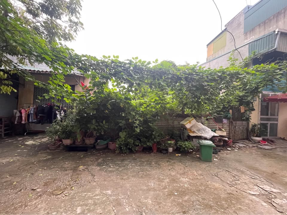 Đất nền Phường Nam Ngạn 110m² giá 2 tỷ - Vị trí đắc địa, pháp lý rõ ràng!