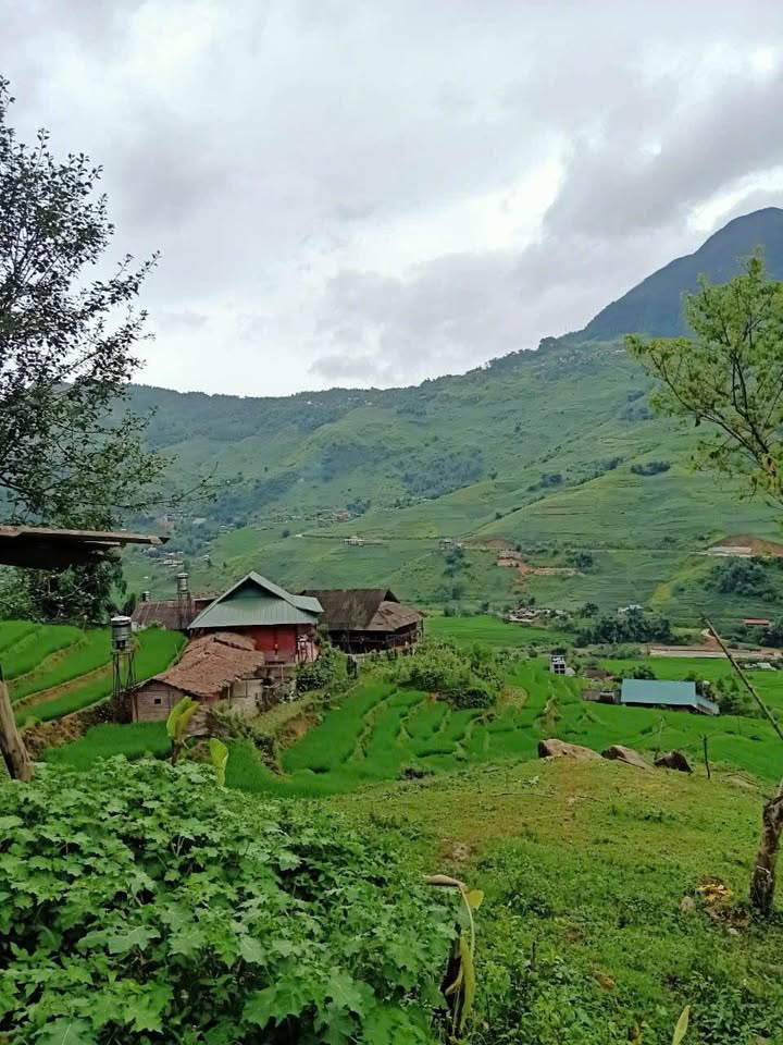 Đất thổ cư 200m² tại Tả Van, Sa Pa 1.000m² giá 8 tỷ - Cơ hội đầu tư tuyệt vời!