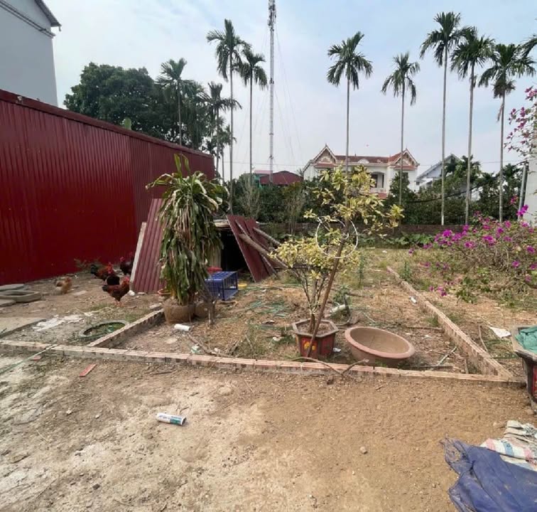 Lô đất Tráng Việt, Mê Linh 51m² giá 2 tỷ - Đầu tư sinh lời ngay!