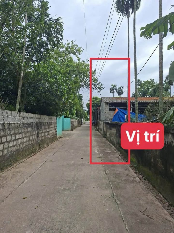 Đất nền Chính Lý - 300m² giá chỉ 1.4 tỷ - Cơ hội đầu tư sinh lời!