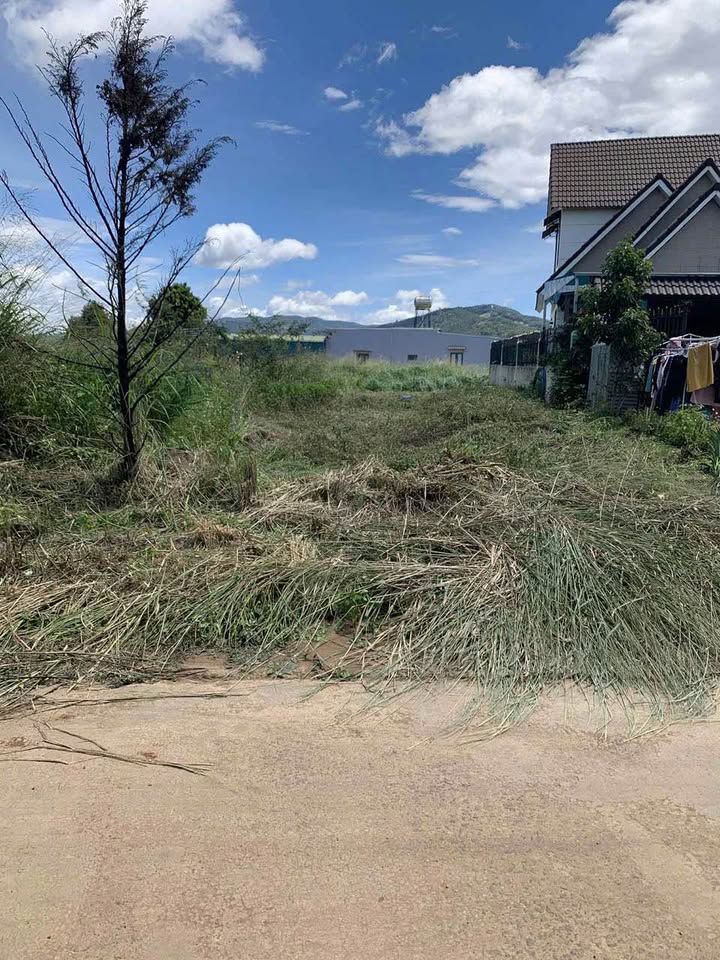 Đất thổ cư xã Ka Đô - Đơn Dương 155m² giá 800 triệu - Sổ đỏ chính chủ