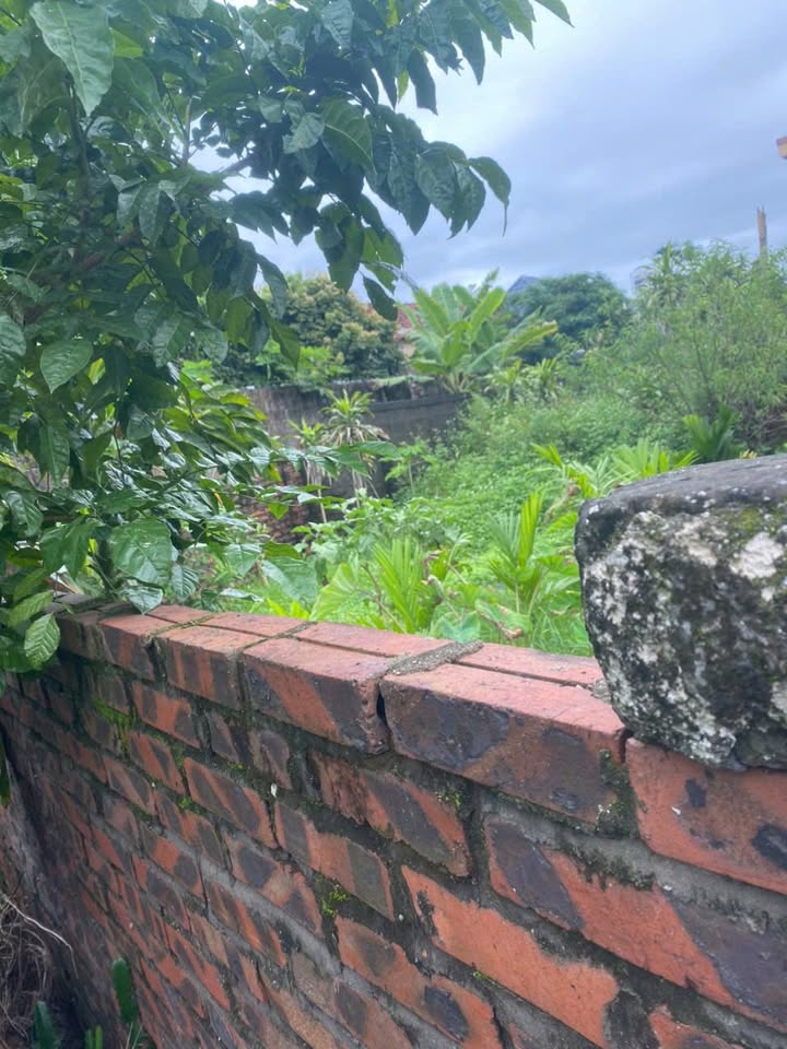 Đất nền Mạo Khê 121.2m² giá chỉ vài trăm triệu - Vị trí đắc địa gần công viên!