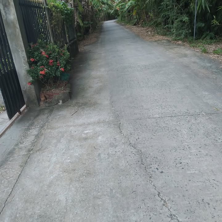 Nhà cấp 4 chính chủ Tân Phú, Cái Răng 233m² giá 1.3 tỷ - Không khí trong lành, tiện ích đầy đủ!