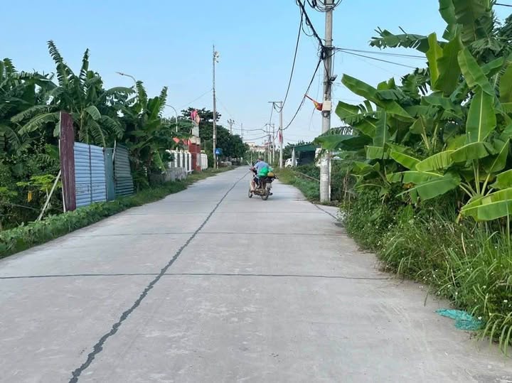 Đất nền Bạch Hạ, Đại Xuyên, 120m² giá chỉ từ 10 triệu/m² - Đầu tư sinh lời ngay!