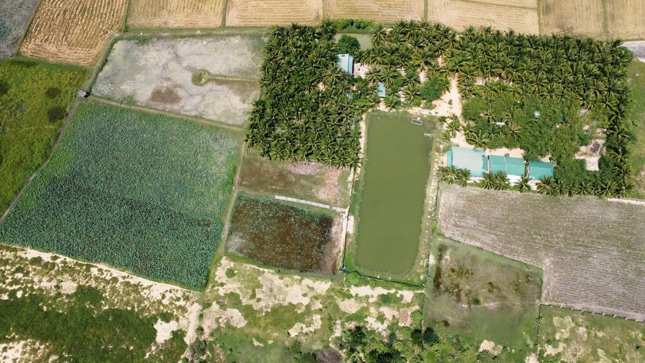 Mảnh vườn 1,6ha tại Phước Dinh - Cơ hội đầu tư lý tưởng!