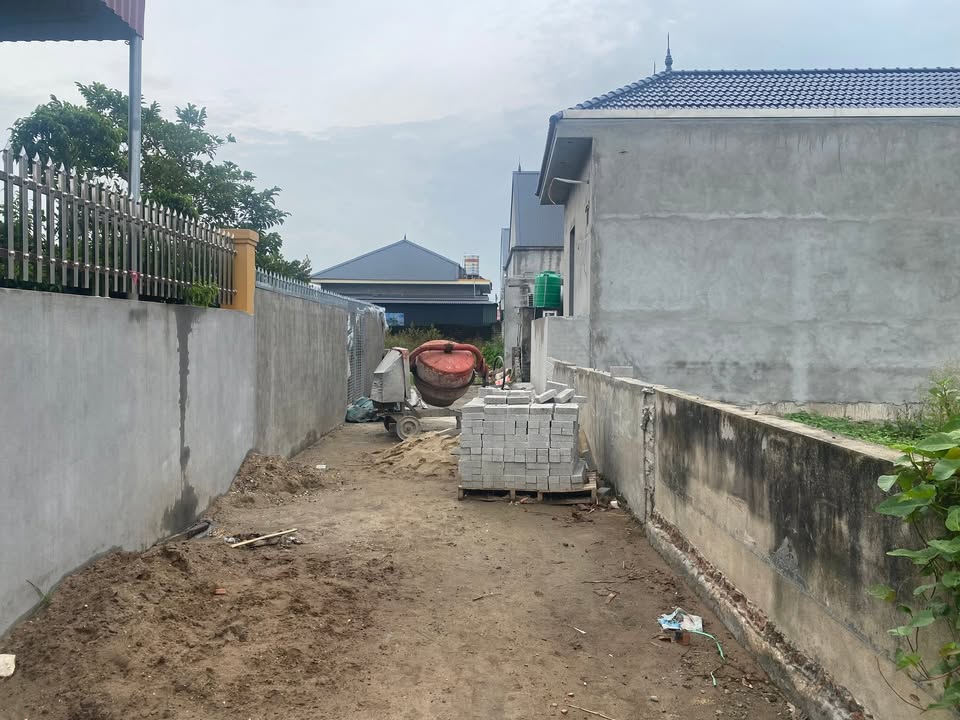 Đất liền kề Tân Viên, An Lão 66m² giá chỉ 485 triệu - Sổ đỏ chính chủ!