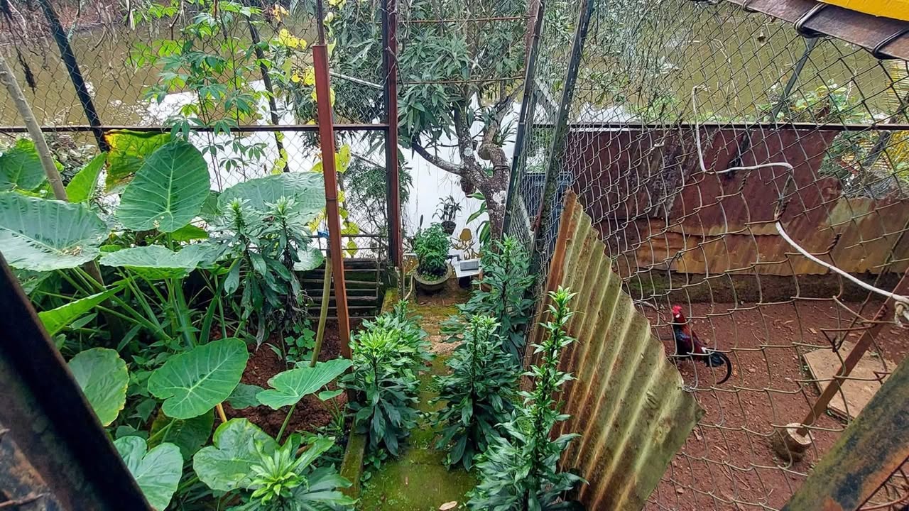 Nhà đẹp đường Hàn Thuyên, Nam Gia Nghĩa 240m² giá 1.9 tỷ - View hồ mát mẻ!