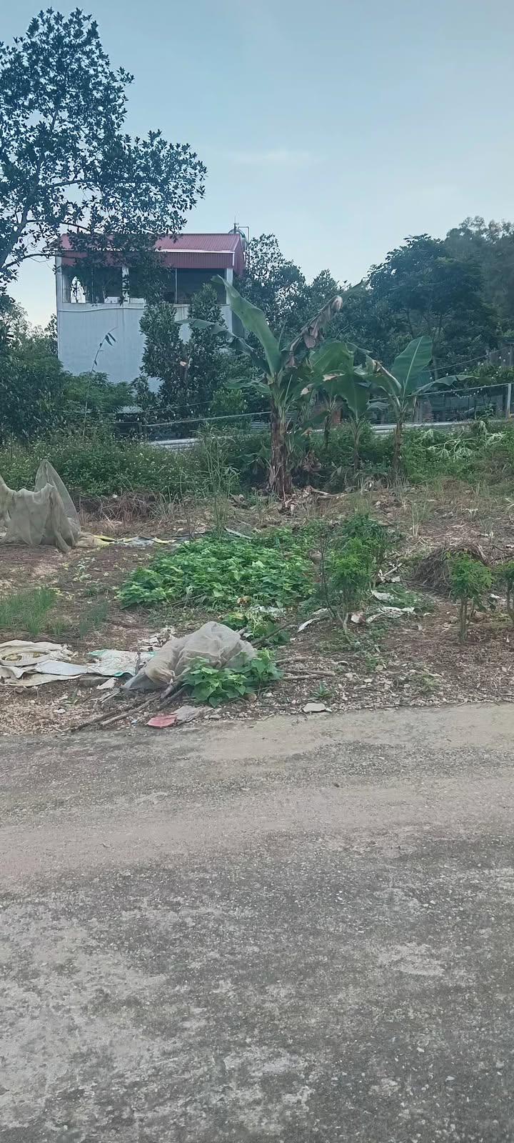 Đất thổ cư 77.6m² tại Thôn Chè, Tiên Du - Đường ô tô rộng, pháp lý đầy đủ!