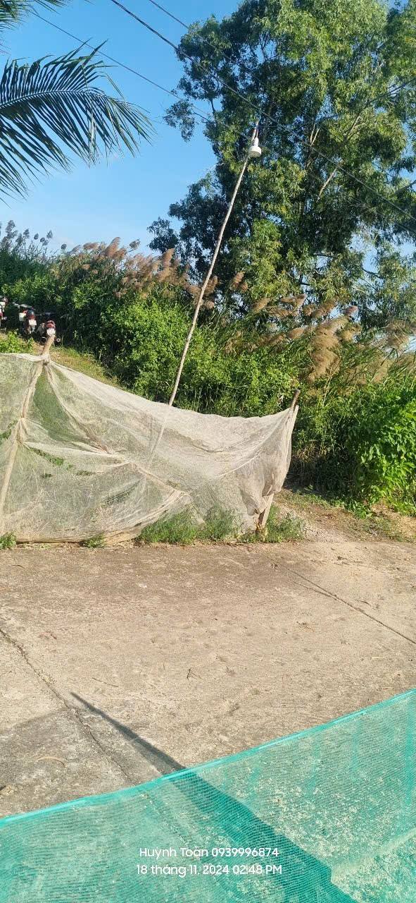 Đất 2 mặt tiền 65000m² tại Vĩnh Châu, Sóc Trăng - Giá chỉ 400 triệu!