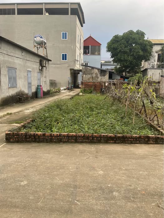 Đất lô góc Quang Tiến, Sóc Sơn 63.6m² giá 2 tỷ - Đầu tư sinh lời ngay!