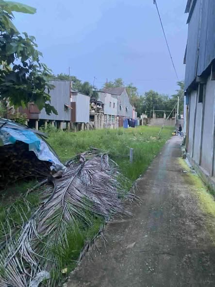 Đất nền Vĩnh Mỹ, Châu Đốc 56m² giá 200 triệu - Sổ hồng chính chủ, tiện ích đầy đủ!