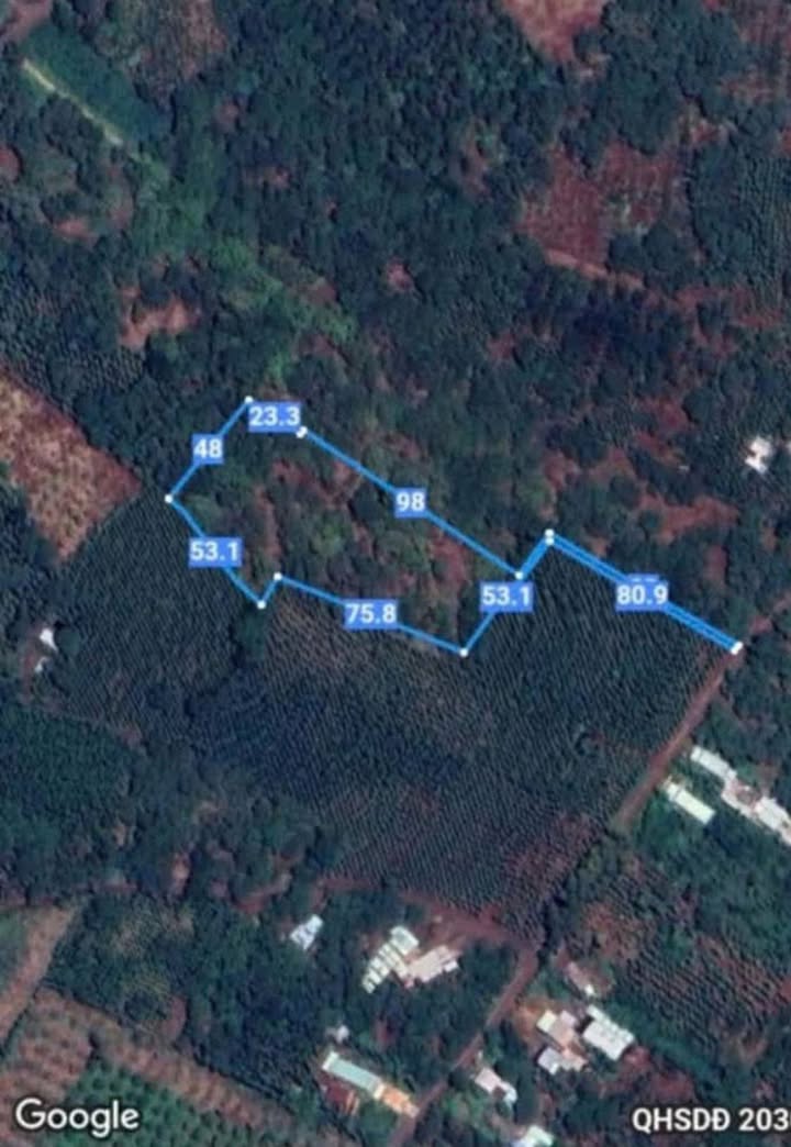 Đất nền xã Bàu Lâm, Xuyên Mộc, 6000m² giá 1.6 tỷ - Cơ hội đầu tư hấp dẫn!