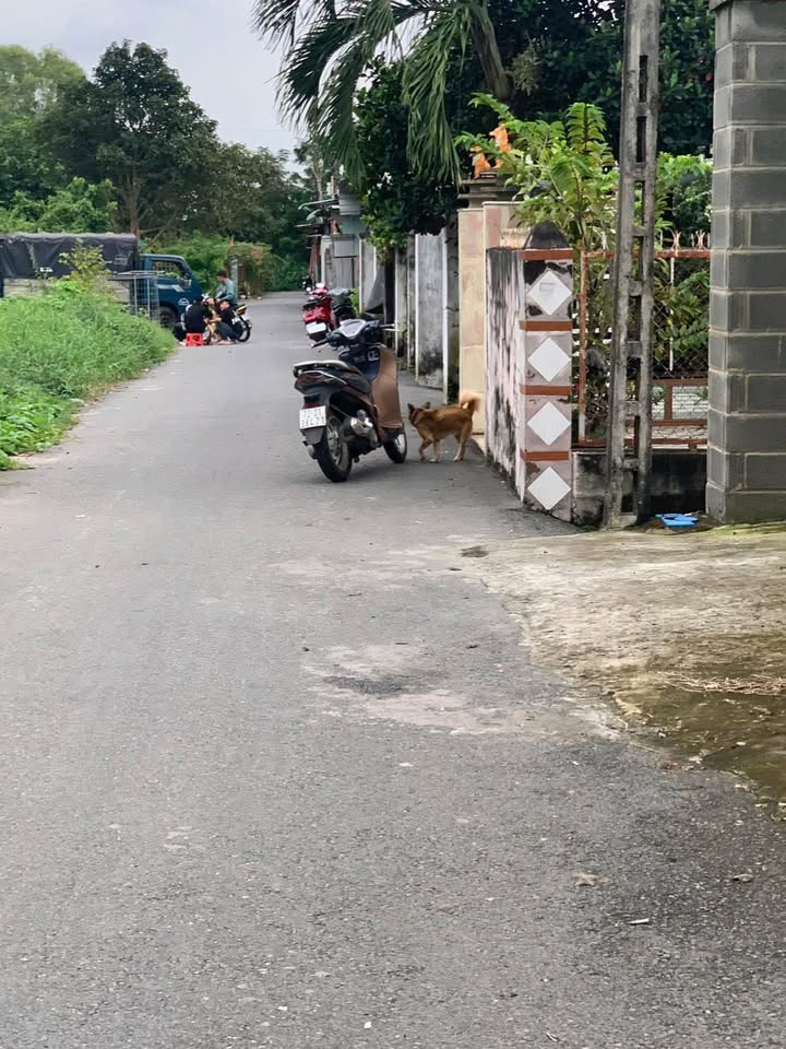 Đất nền Long Hương, Bà Rịa 129m² giá 1.78 tỷ - Cơ hội đầu tư tuyệt vời!