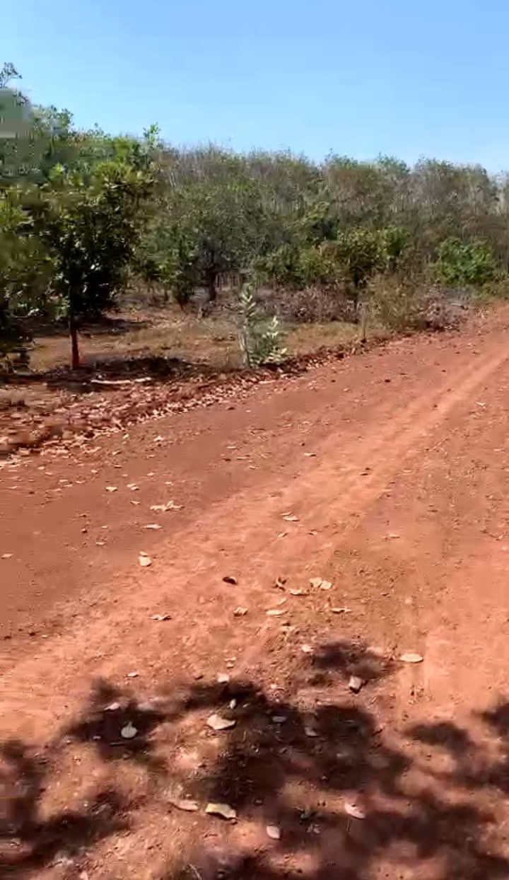 Đất nền Hòa Hưng Xuyên Mộc 1000m² giá 300 triệu - Cơ hội đầu tư tuyệt vời!