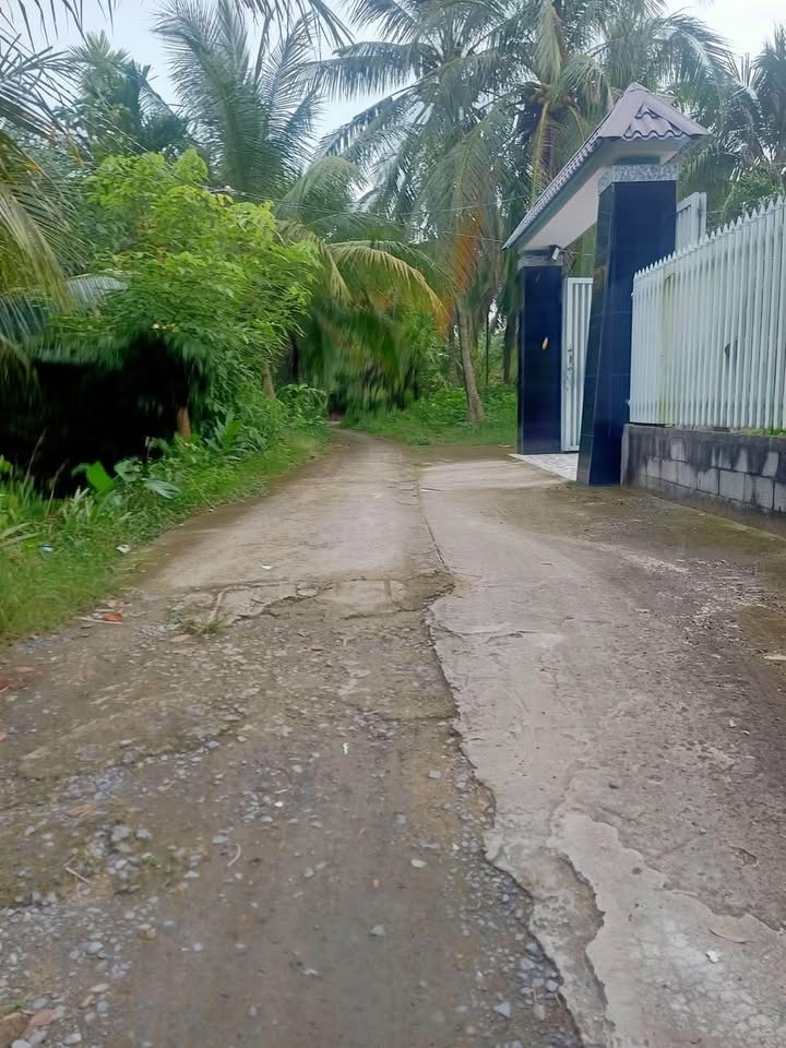 Đất thổ cư 440m² tại Phú An Hòa, Châu Thành, Bến Tre - Giá chỉ 4.536 tỷ, Đầu tư sinh lời!