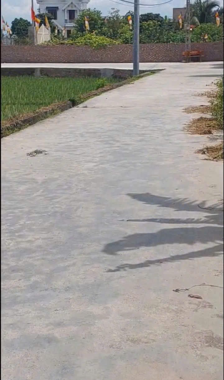 Đất nền Quang Phục Tứ Kỳ 80m² giá chỉ 630 triệu - Cơ hội đầu tư tuyệt vời!