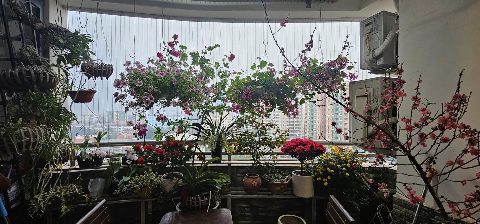 Căn hộ C6 Trần Hữu Dực, Mỹ Đình 133m² giá thỏa thuận - Căn góc full nội thất sẵn ở!