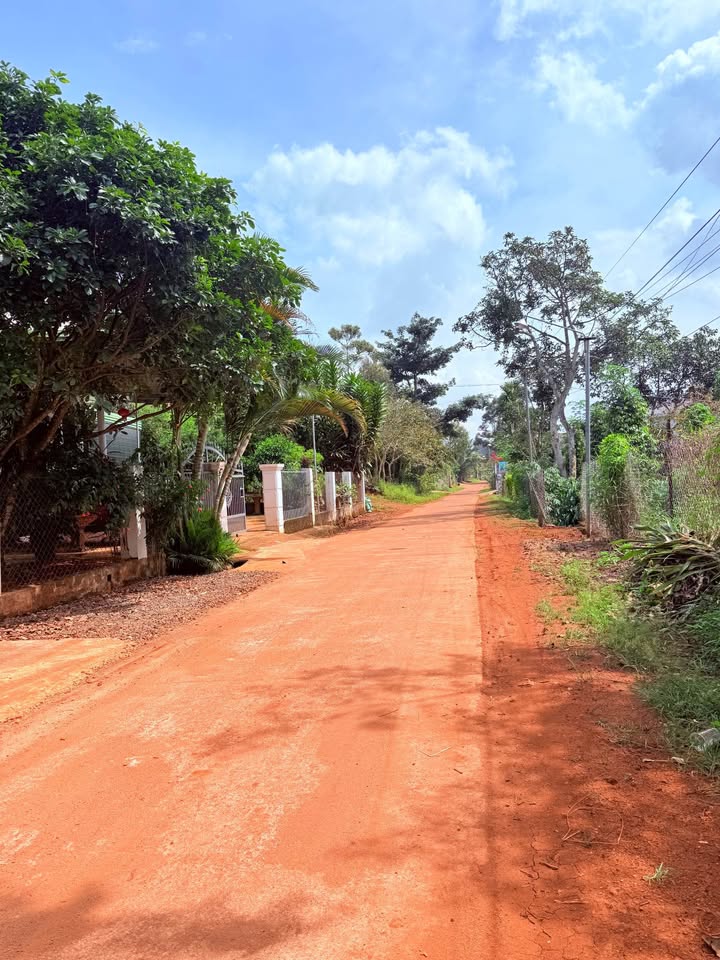 Đất nền Đức Sơn, Đắk Mil 300m² giá 550 triệu - Cơ hội đầu tư lý tưởng!