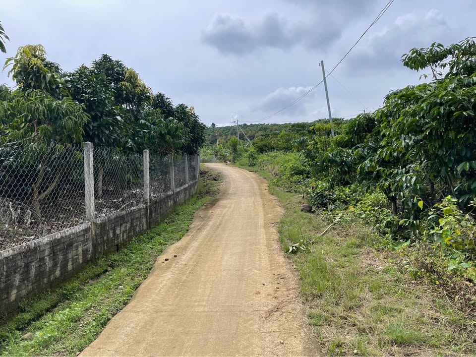 Đất nền Lộc Châu 5000m² giá 3.3 tỷ - Đường Phan Huy Ích, chính chủ!