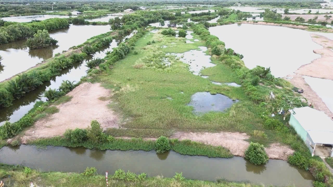 Đất nền 6000m² mặt tiền Đường số 5, xã Ngũ Lạc, giá 8 tỷ - Cơ hội đầu tư hấp dẫn!