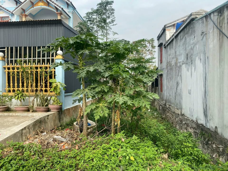 Đất nền Quảng Khê 100m² giá 700 triệu - Đầu tư sinh lời ngay!