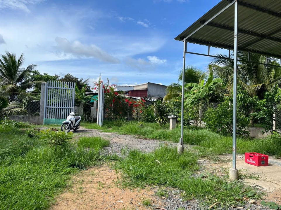 Đất cây lâu năm 500m² Đa Lộc Châu Thành giá 550 triệu - Sổ đỏ chính chủ!