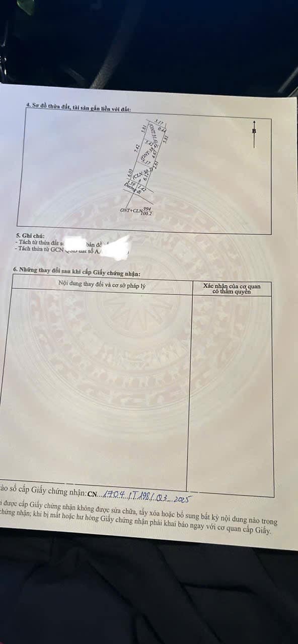 Đất nền Danh Thượng Hiệp Hòa 100m² giá 700 triệu - Đường thông, vị trí thuận lợi!