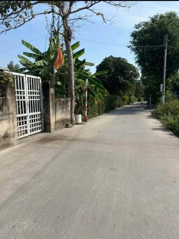 Đất mặt tiền Bình Chuẩn, Thuận An 333m² giá 4 tỷ - Cơ hội đầu tư hấp dẫn!