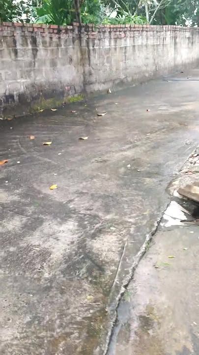 Đất thổ cư 200m² tại xã Quỳnh Ngọc, huyện Quỳnh Phụ - Cơ hội đầu tư hấp dẫn!