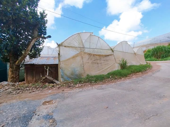 Đất nông nghiệp Đà Lạt 873m² giá 5.238 tỷ - Tiềm năng đầu tư lớn!