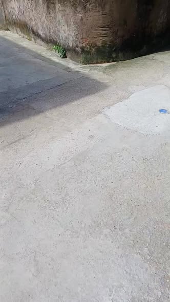 Đất nền Phúc Thụy Tân Ước 80m² giá chỉ 4 triệu/m² - Cơ hội đầu tư hiếm có!