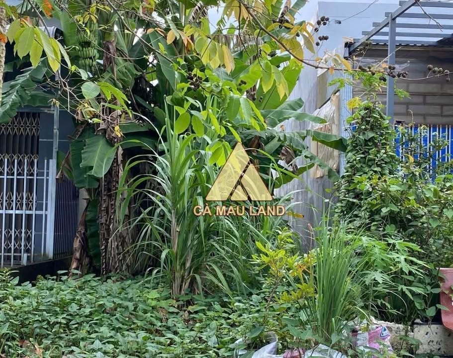 Đất nền đường số 11, phường Tân Xuyên, Cà Mau 135m² - Vị trí đẹp, đầu tư sinh lời!