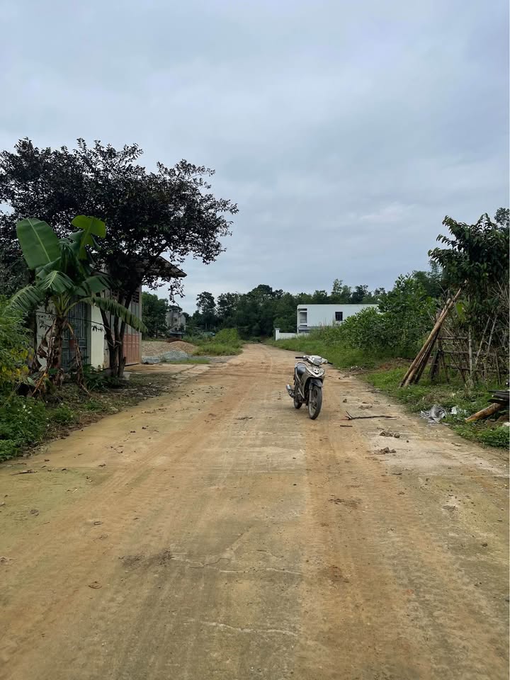 Đất nền tại xã Sao Vàng, Thọ Xuân, 125m² - Đối diện khu nghỉ dưỡng Sao Mai!