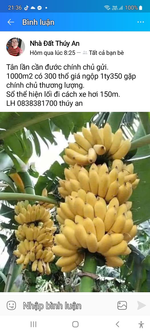 Đất thổ cư Trung Hòa Chợ Gạo 8700m² giá thỏa thuận - Tiềm năng đầu tư hấp dẫn!